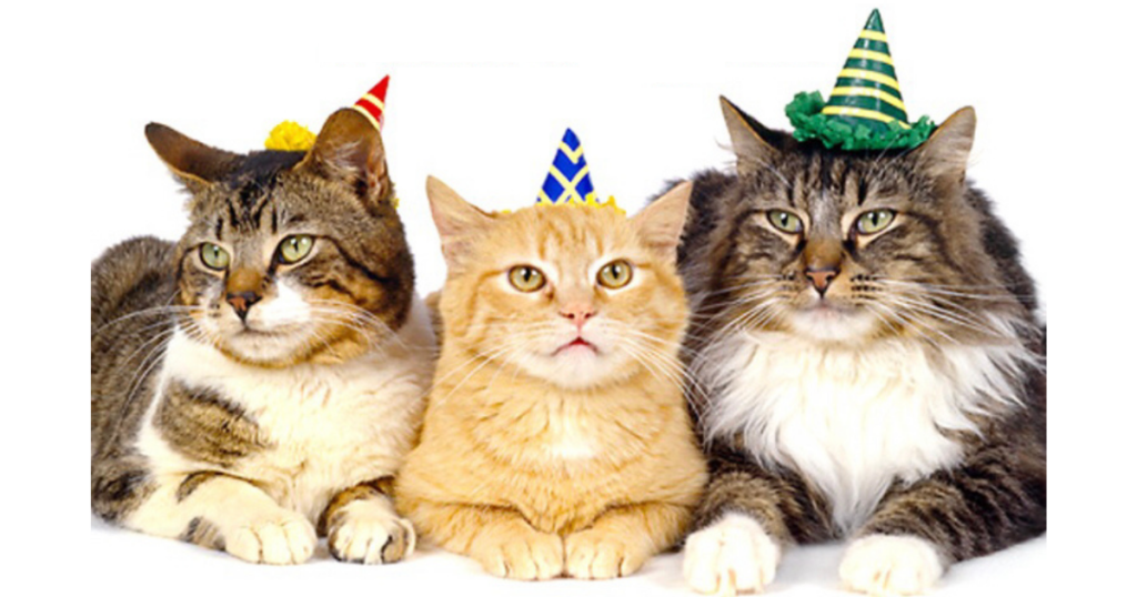 Giornata nazionale del gatto