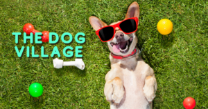 dog village