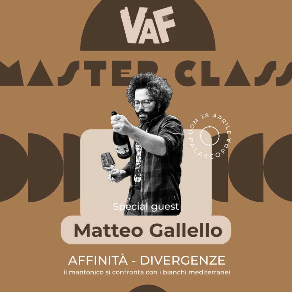 VAF 2024 Masterclass Matteo Gallello