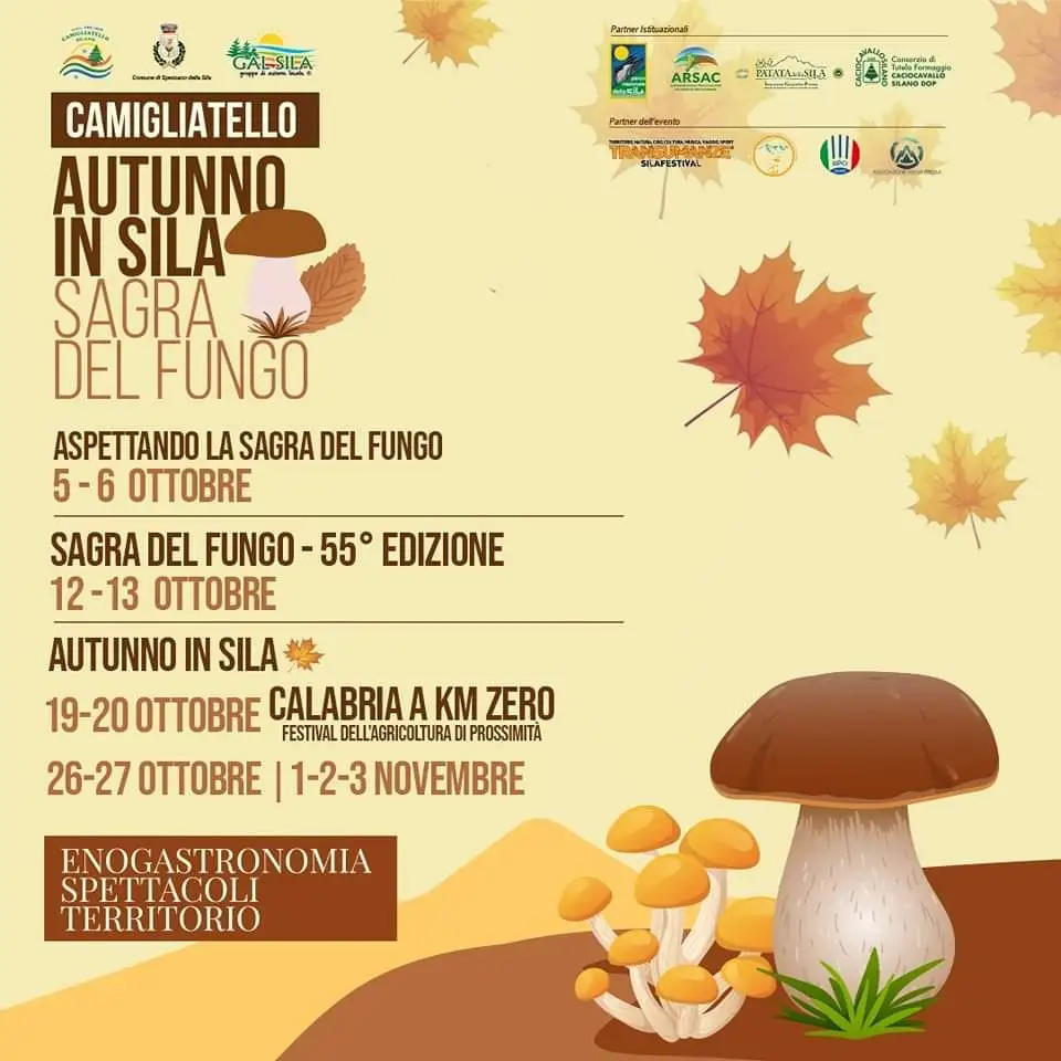 Sagra del Fungo