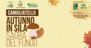 Sagra del Fungo